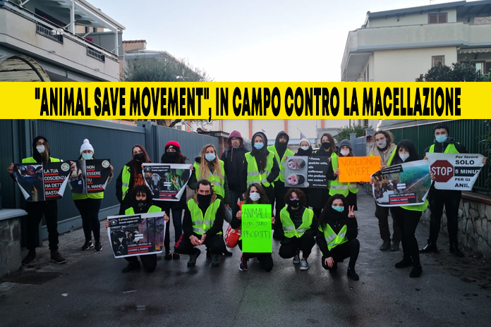 “Animal Save Movement”, salva due agnellini: Sole e Bebi