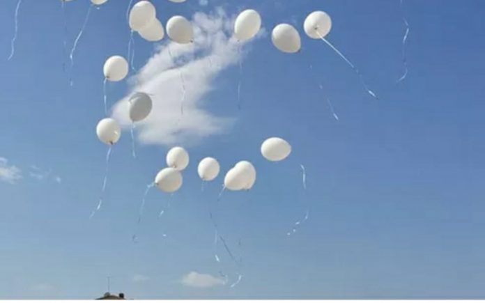 Screenshot_20210113-125041_Chrome