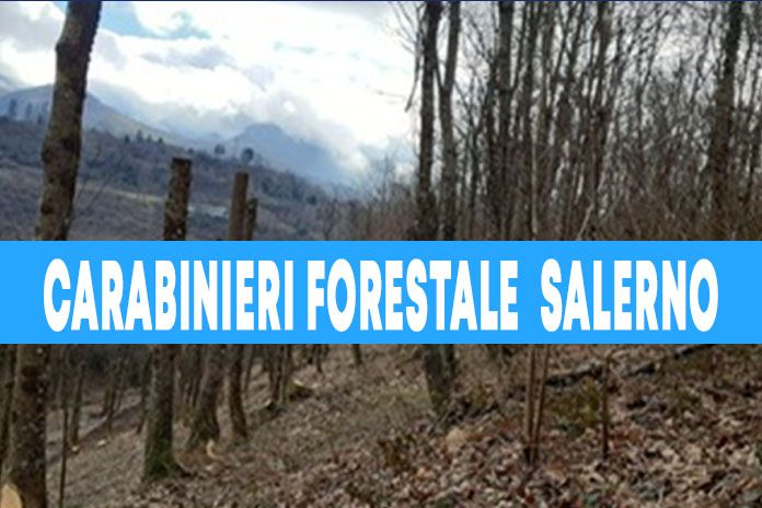I Carabinieri Forestale incontrano gli studenti della provincia di Salerno
