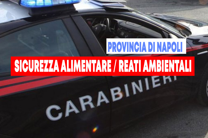 Sicurezza alimentare e reati ambientali. 2 attività sanzionate dai Carabinieri