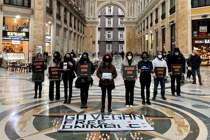 Foto Gruppo Save Square