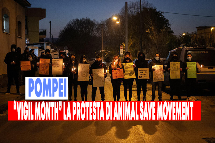 Veglia di Animal Save Movement presso il mattatoio di Pompei
