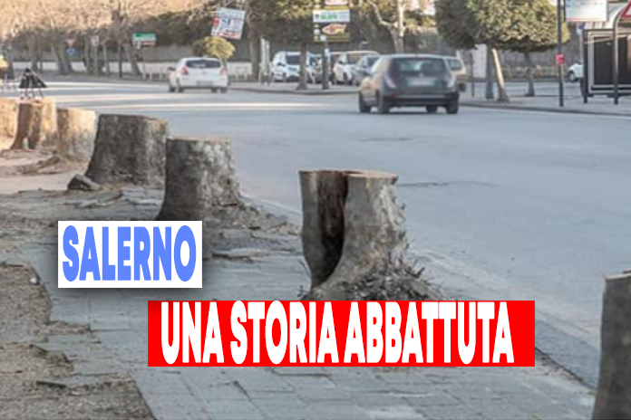 Lambiase: Esposto alla Corte dei Conti per i platani abbattuti in via Generale Clark