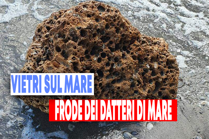 Vieteri sul Mare. frodo dei datteri di mare