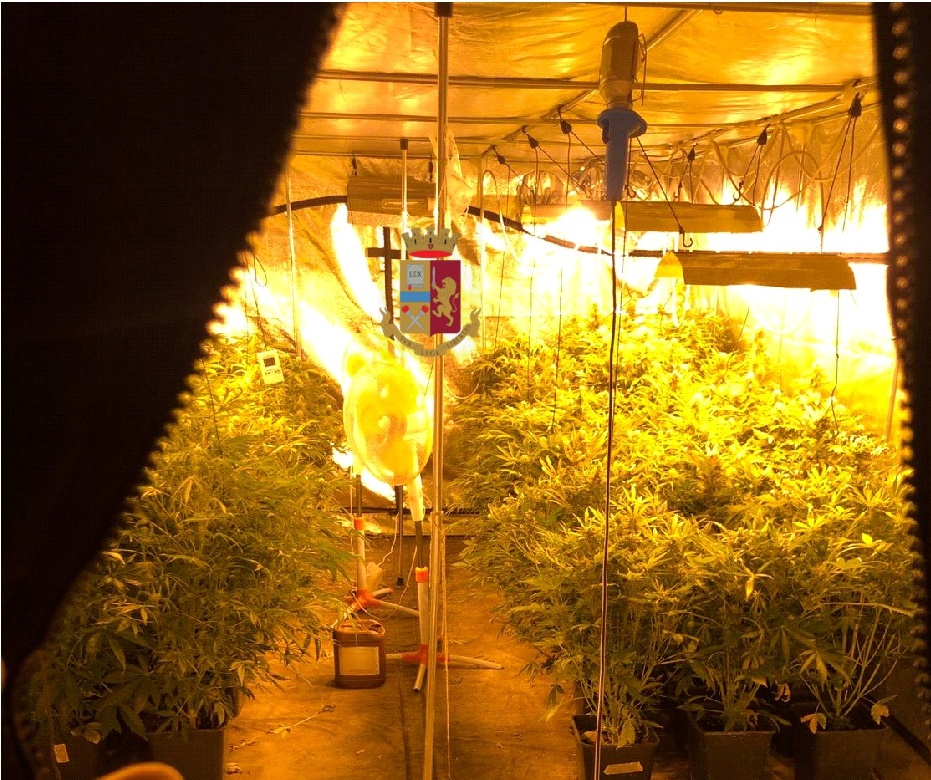 Questa immagine ha l'attributo alt vuoto; il nome del file è logo_pianura4.jpg