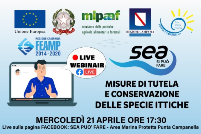 Sorrento. Punta Campanella nelle scuole per promuovere il “pesce povero” e la risorsa mare