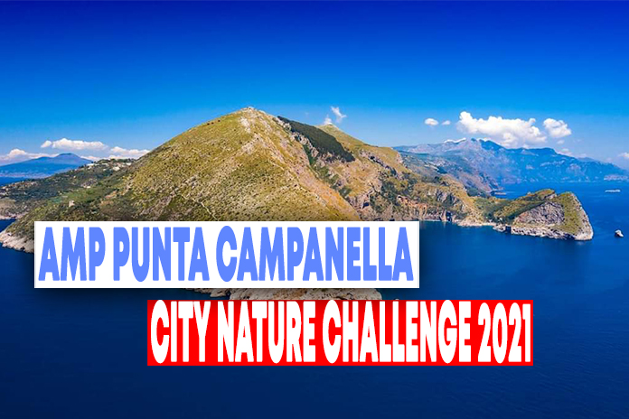 Primo weekend “giallo” da vivere in natura con l’Amp Punta Campanella