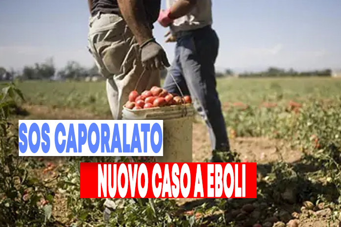 “Sos caporalato in provincia di Salerno, nuovo caso a Eboli”