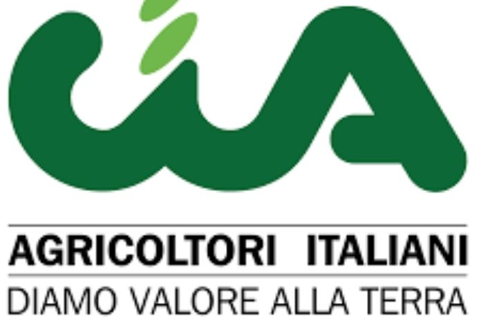 Eurocastanea 2022, Cia Campania denuncia la monopolizzazione di Coldiretti e chiede spiegazioni al distretto castanicolo