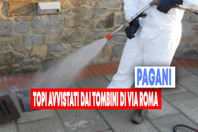 Pagani. Topi dai tombini, la segnalazione di De Martino