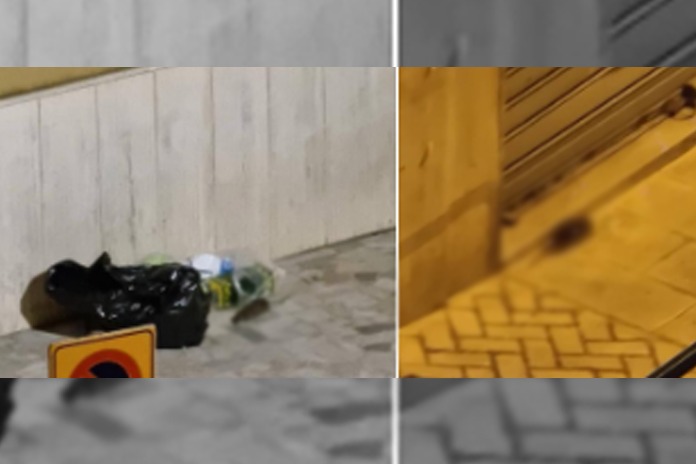 Salerno. Interventi di igienizzazione non solo nelle vie “raccomandate”