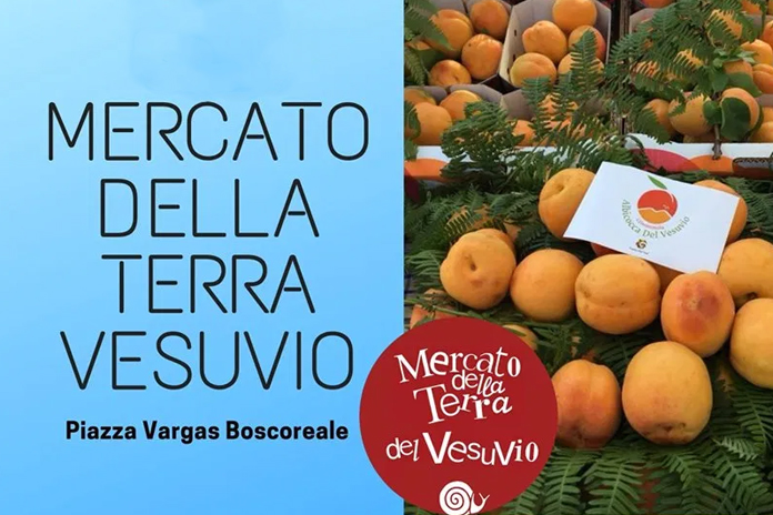 Boscoreale. Ritorna domenica 9 maggio, il Mercato della Terra Vesuvio
