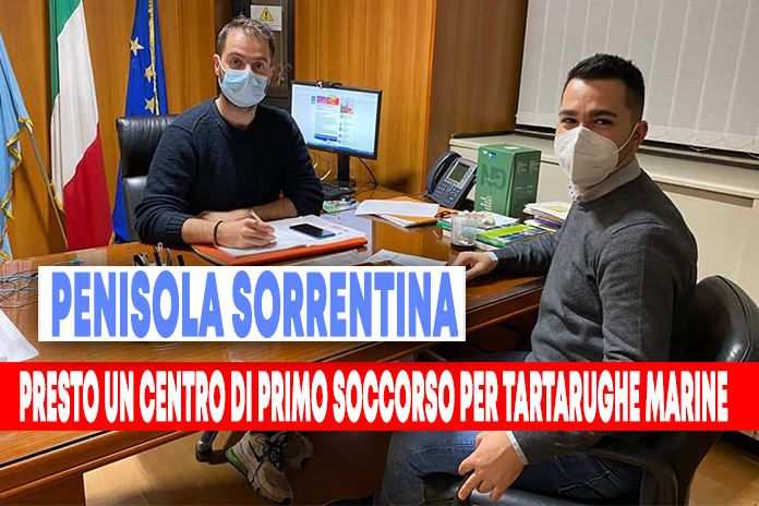 Un Centro soccorso tartarughe marine a Massa Lubrense