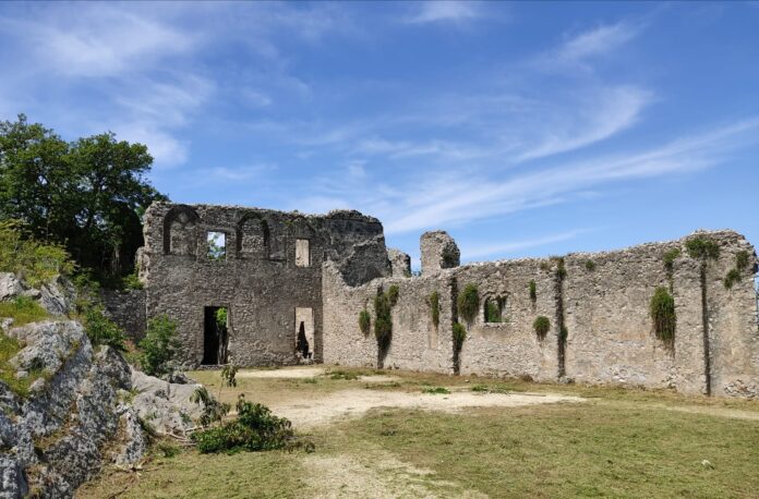 WhatsApp Image 2021-05-07 at 12.50.50