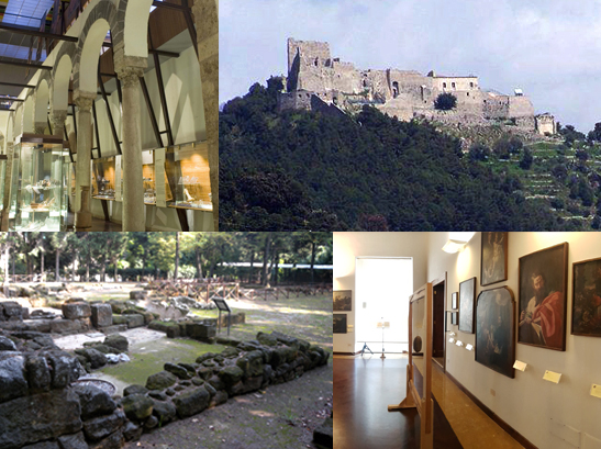 collage musei provincia