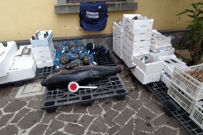 Guardia Costiera. Sorrento: Operazione congiunta coi Carabinieri a tutela del lavoro