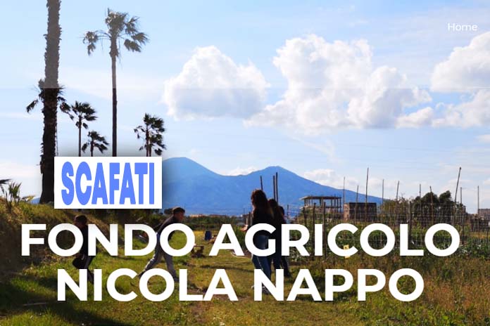 Fondo Nappo, il Sindaco Salvati esprime soddisfazione per la sentenza del Consiglio di stato