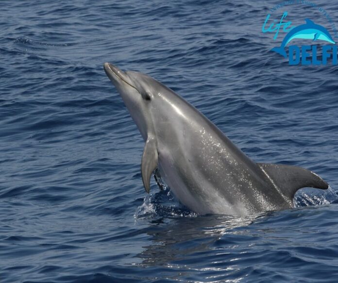 IMG_20210304_193741_506