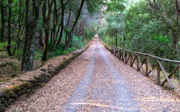 Ottaviano. Venerdì 23 luglio riapre il sentiero n°4 del Parco “Attraverso la Riserva Tirone”