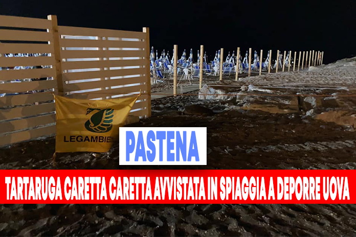 Sorpresa a Salerno: Caretta Caretta deposita uova in spiaggia a Pastena