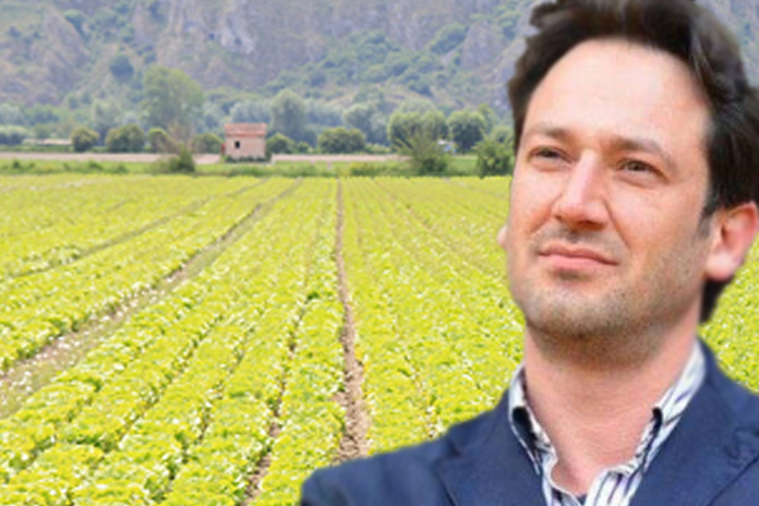 Cammarano: “Forestali da tre mesi senza stipendio, Regione eroghi risorse”