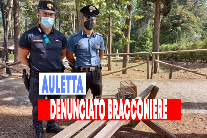 Carabinieri Forestale. Sorpreso un bracconiere e sequestrati i mezzi di caccia illegali