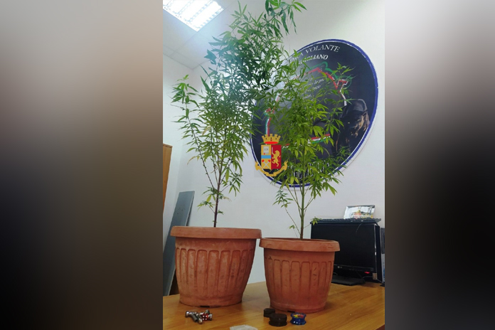 Vasto: sorpreso con la droga in casa. Denunciato