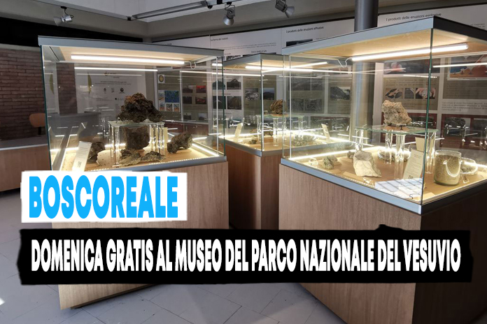 Boscoreale. Agosto al museo “gratis”, domenica dalle ore 10 alle ore 16