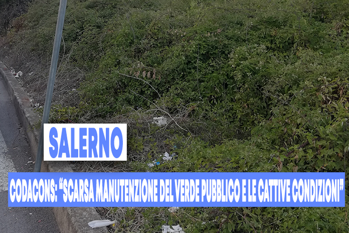 Salerno. Interventi urgenti nelle vie della città: Codacons invita l’ASL ad effettuare interventi di pulizia e disinfestazione