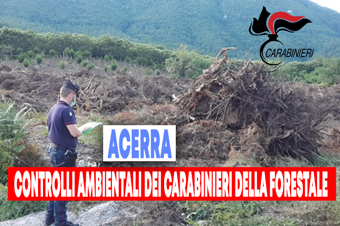 Controlli ambientali. Taglio di bosco ed estirpazione di ceppaie