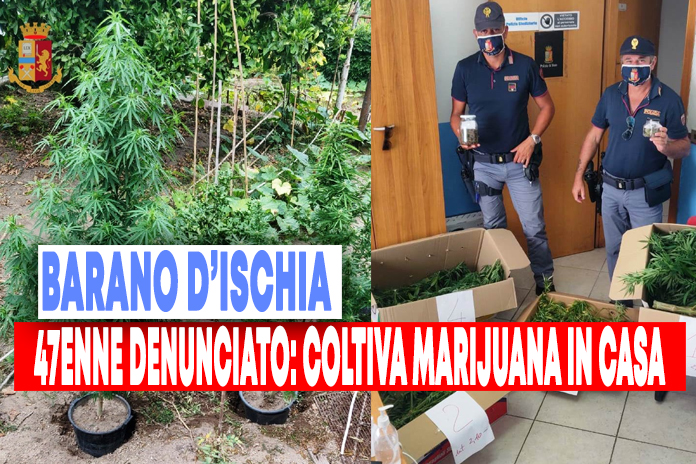 Barano d’Ischia: coltiva marijuana nel giardino. Denunciato 47enne