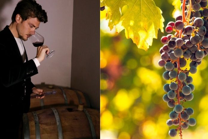 Nuova linfa ai terreni del Vesuvio. Antonio Giugliano “l’enologo millennial” punta sui volcanic wine