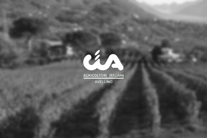 Irpinia. Cia Avellino a lavoro per una prima conta dei danni a seguito di una grandinata