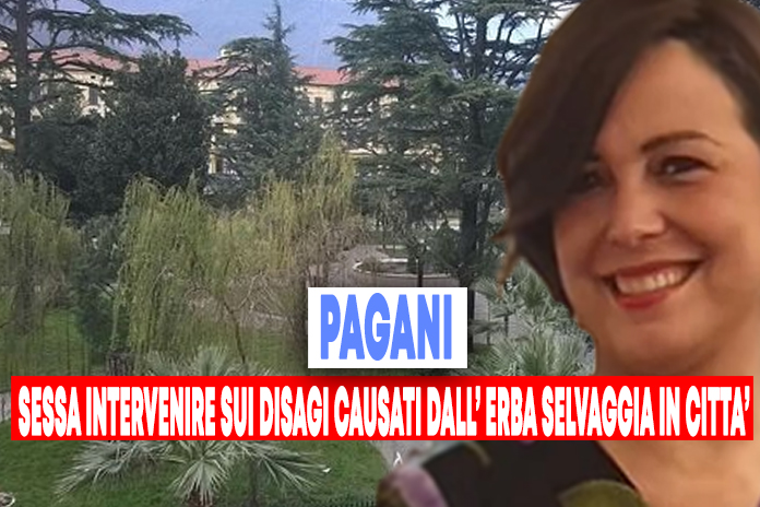 Pagani. Erba alta in tutta la città: Sessa invoca interventi urgenti