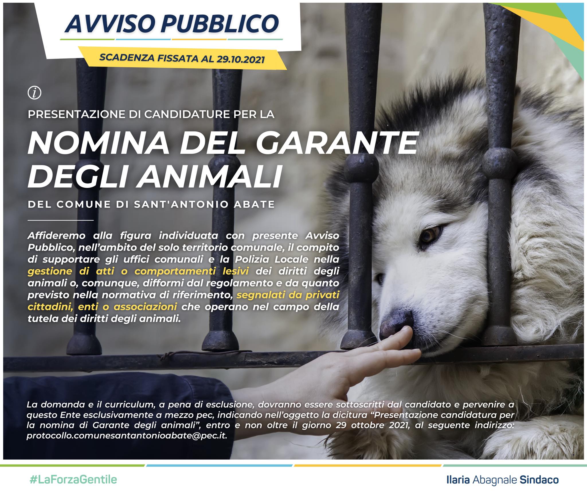 S.Antonio Abate, avviso pubblico per garante degli animali
