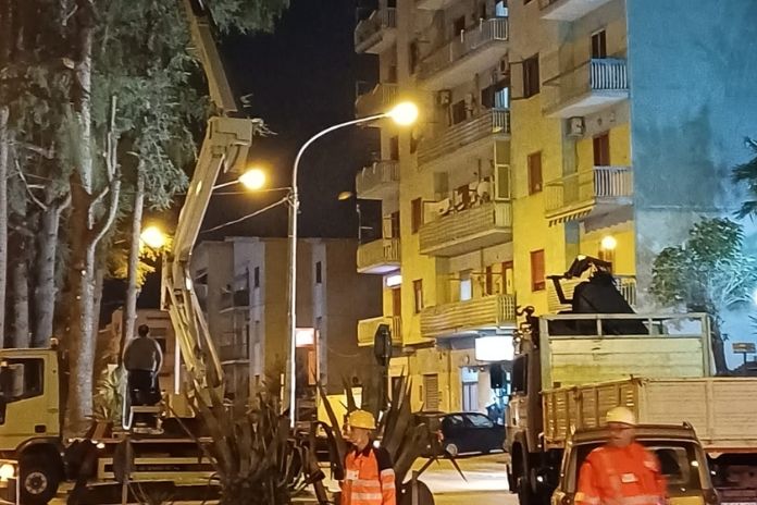 potatura alberi san marzano