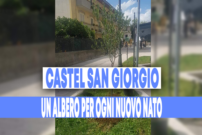 Castel San Giorgio un albero per ogni nuovo nato