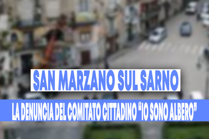 San Marzano sul Sarno. Manifestazioni di proteste contro l’abbattimento del pino n.ro 30