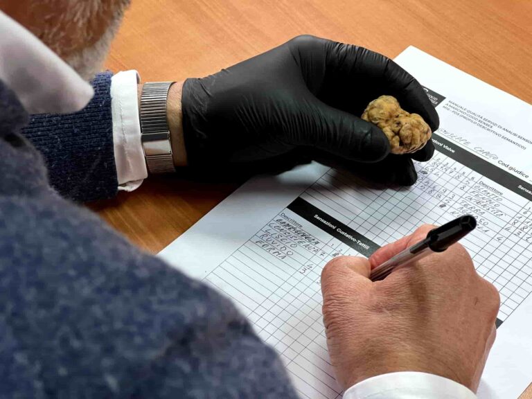 Campania. Valorizzazione della filiera e successo per il Primo Corso di Analisi Sensoriale sul Tartufo 