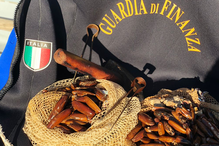 Datterari, condannato a 6 anni e 2 mesi il capo del sodalizio criminale di Castellammare di Stabia 