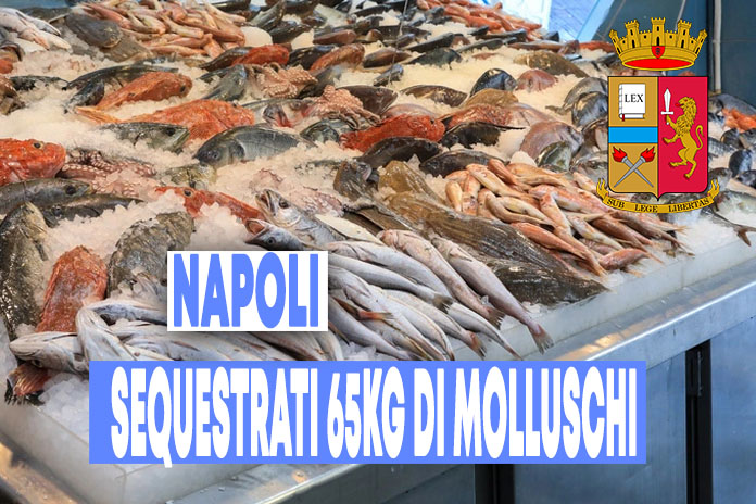 Napoli: frutti di mare fuorilegge: sanzioni per due pescherie e sequestrati 65kg di molluschi