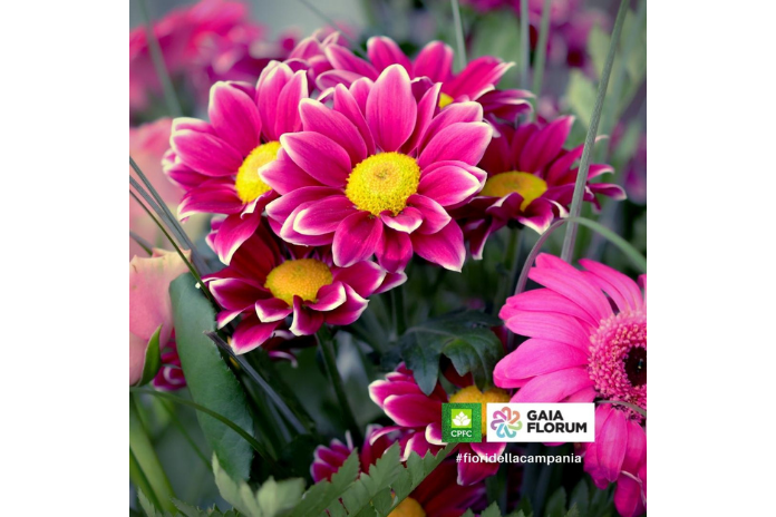 Malafronte (CPFC): “In pagamento i contributi della Regione Campania a favore del settore florovivaistico”