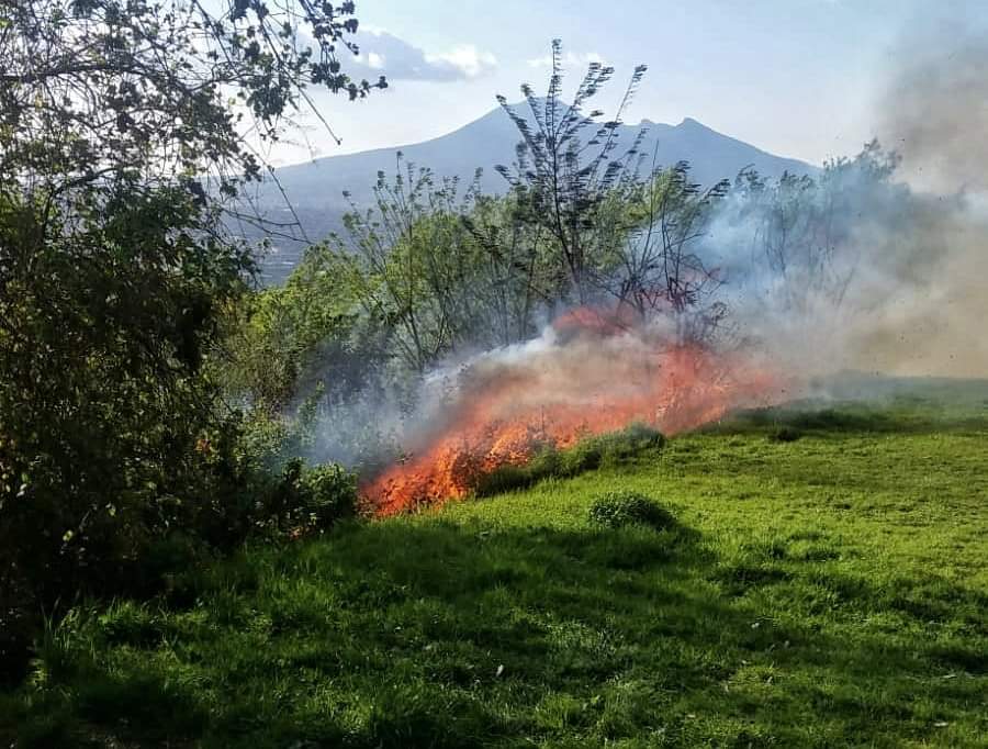 Angri, “Chianiello” nella morsa dei cafoni della pasquetta!