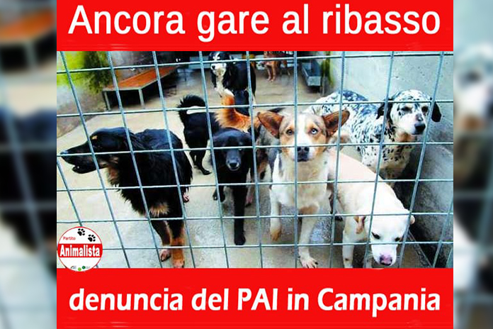 Ancora gare al ribasso per i canili in Campania: la denuncia  del PAI