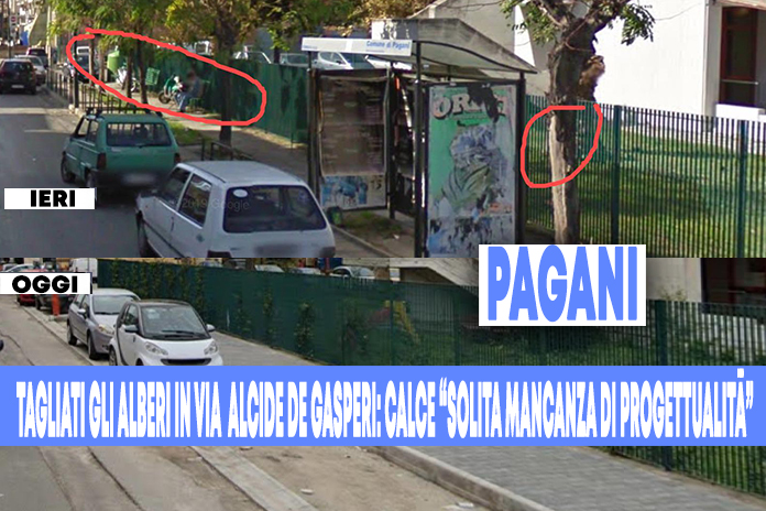 Pagani. Piante tagliate in città: Vincenzo Calce all’attacco “solita mancanza di progettualità”