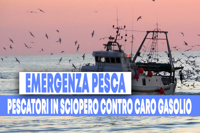 Caro gasolio mette in ginocchio i pescatori: a Napoli a rischio i rifornimenti di pesce fresco 
