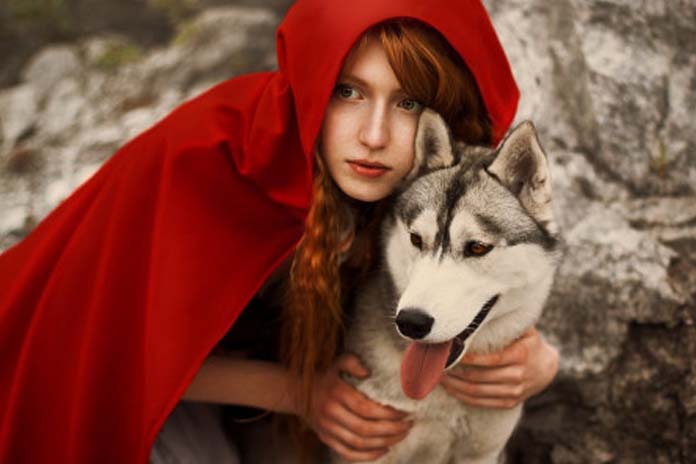 Animali, addio al “lupo cattivo”? L’Aidaa ne chiede l’abolizione dalle fiabe