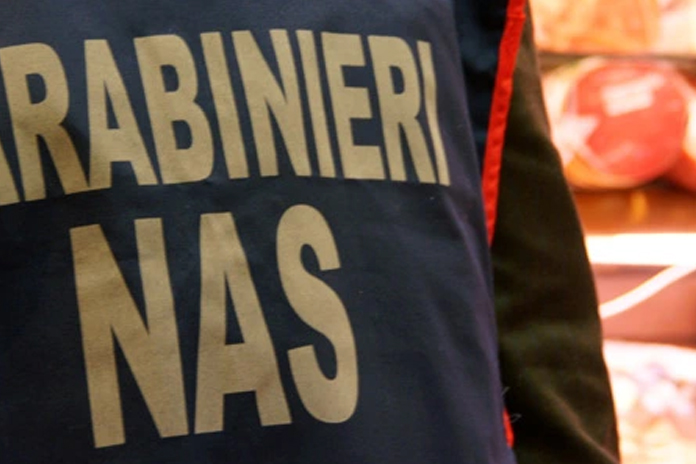 Napoli, controlli Nas in pasticcerie e esercizi commerciali: blatte e ragnatele, scatta la chiusura