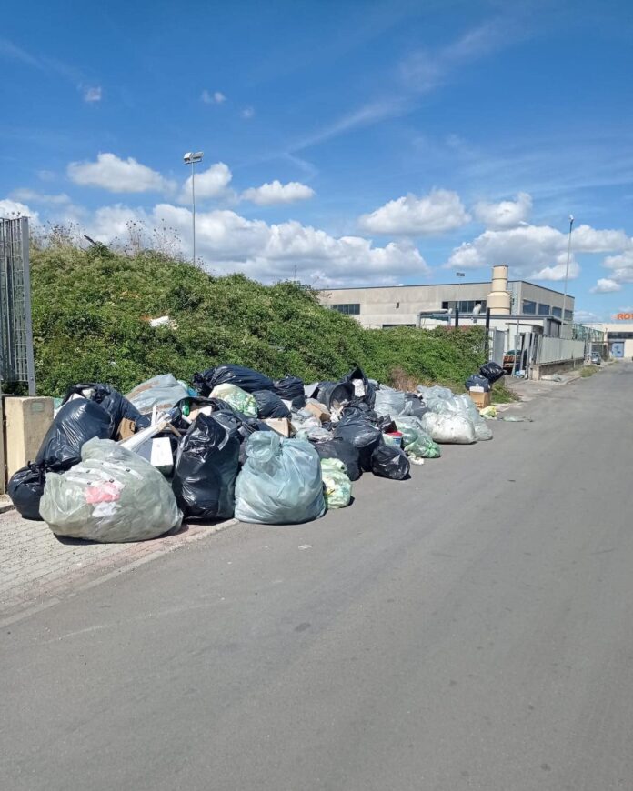 rifiuti zona industriale