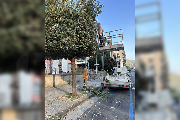 Decoro urbano, Cuofano vara il piano potature e cura del verde pubblico